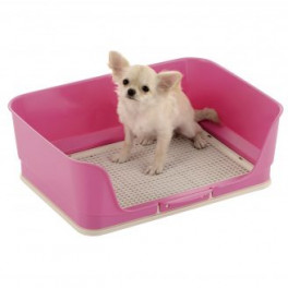 adorable chihuahua on potty pad tray