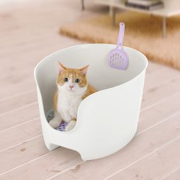Cat Products & Litter Boxes