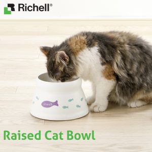 cat laps water from bowl
