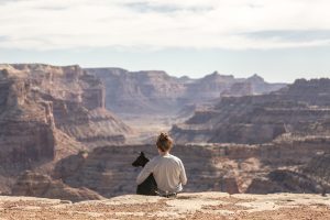 Hiker and Dog appreciate canyon view