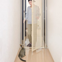 Lady and Cat by Safety Gate