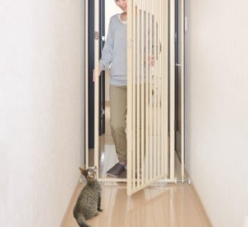 Lady and Cat by Safety Gate