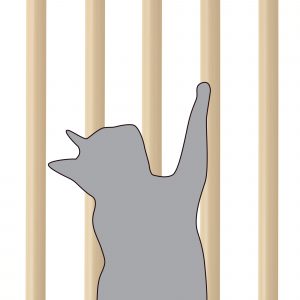 Cat simulation infront of gate bars