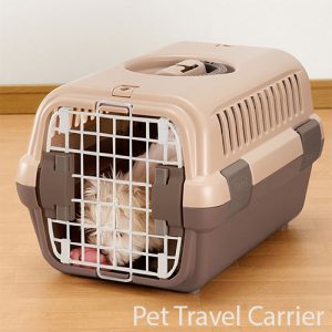 Terrier in small pet carrier