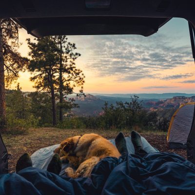 Camping with your Dog – Tips for a Successful Adventure