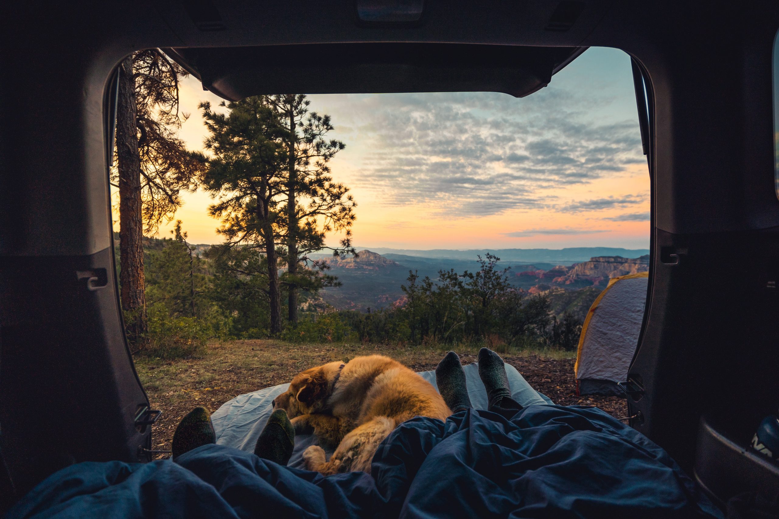Camping with your Dog – Tips for a Successful Adventure