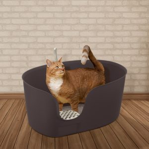 tan cat in high wall litter box