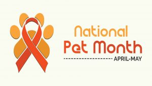 Ways to Pamper Pet National Pet Month 2022