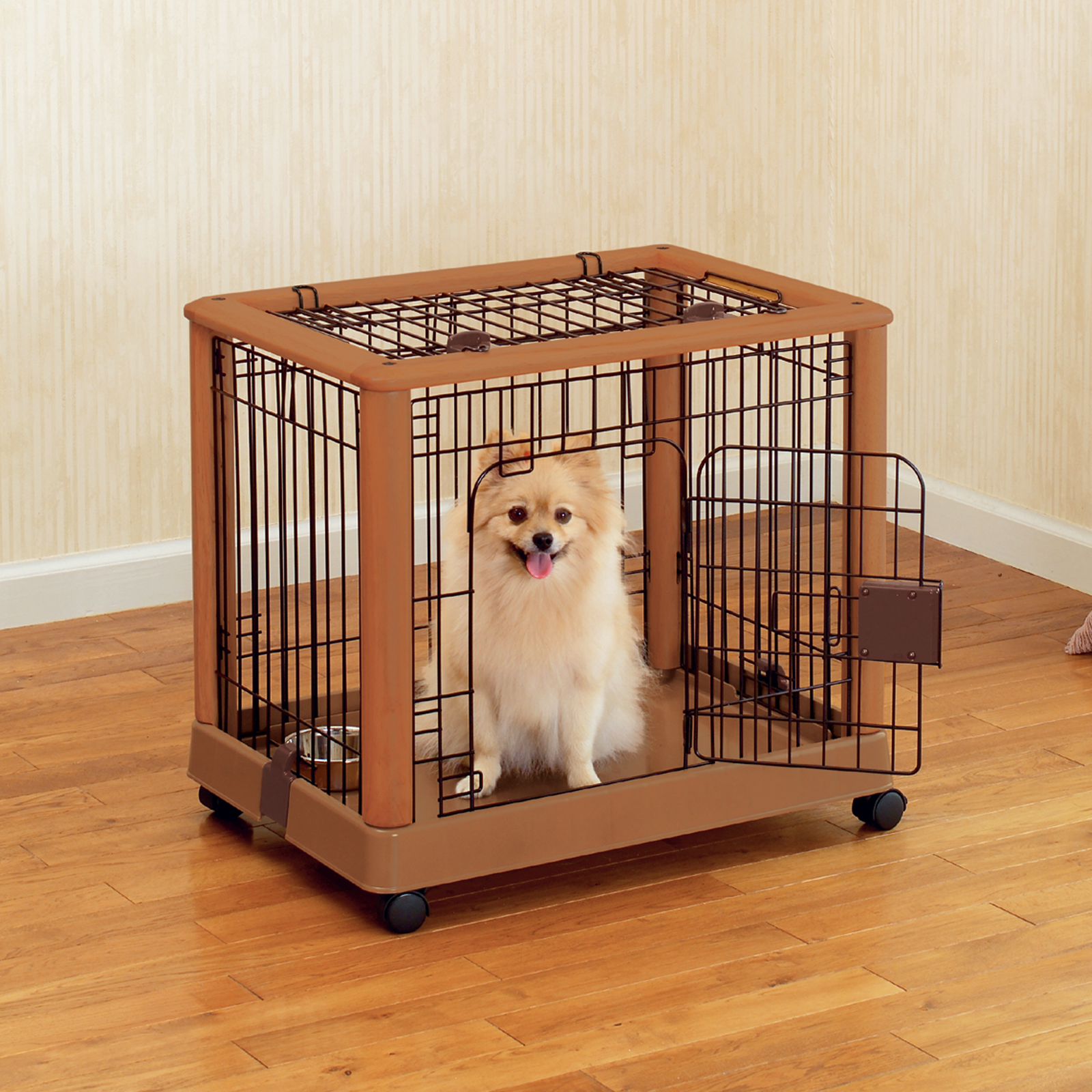 Longhair Chihuahua in dog grate