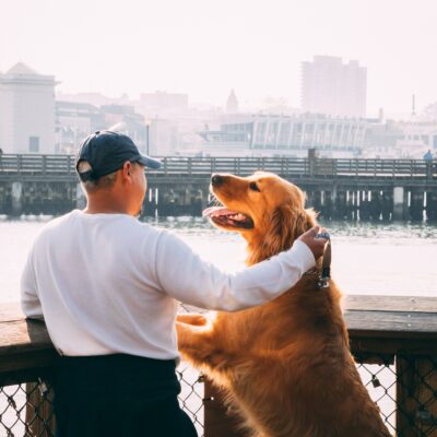 Top 5 Most Dog-Friendly Cities in the US