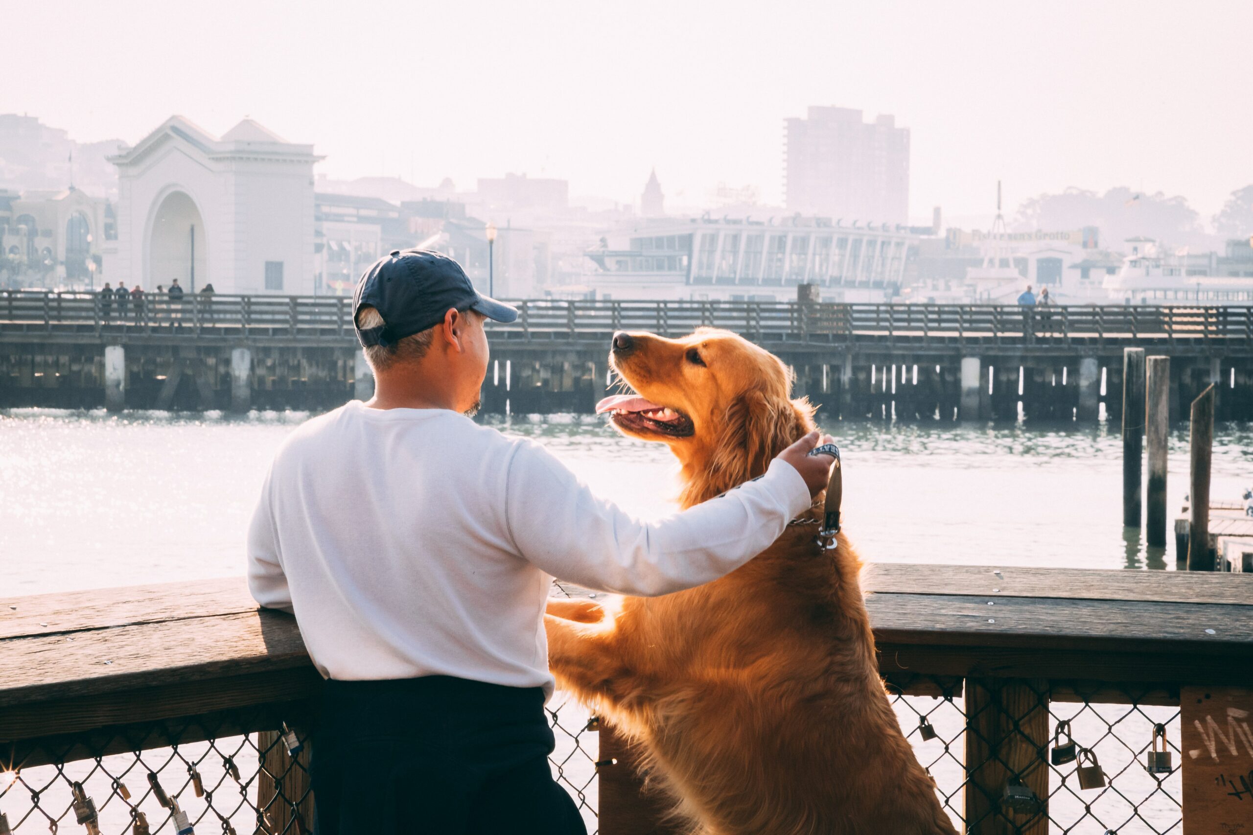 Top 5 Most Dog-Friendly Cities in the US