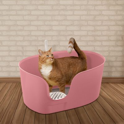 How to Control Cat Litter Tracking During the Summer Shedding Season