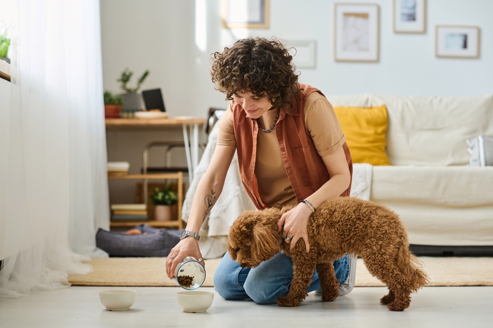 Make Your Pet Sitter's Life Easier (And Your Own!)