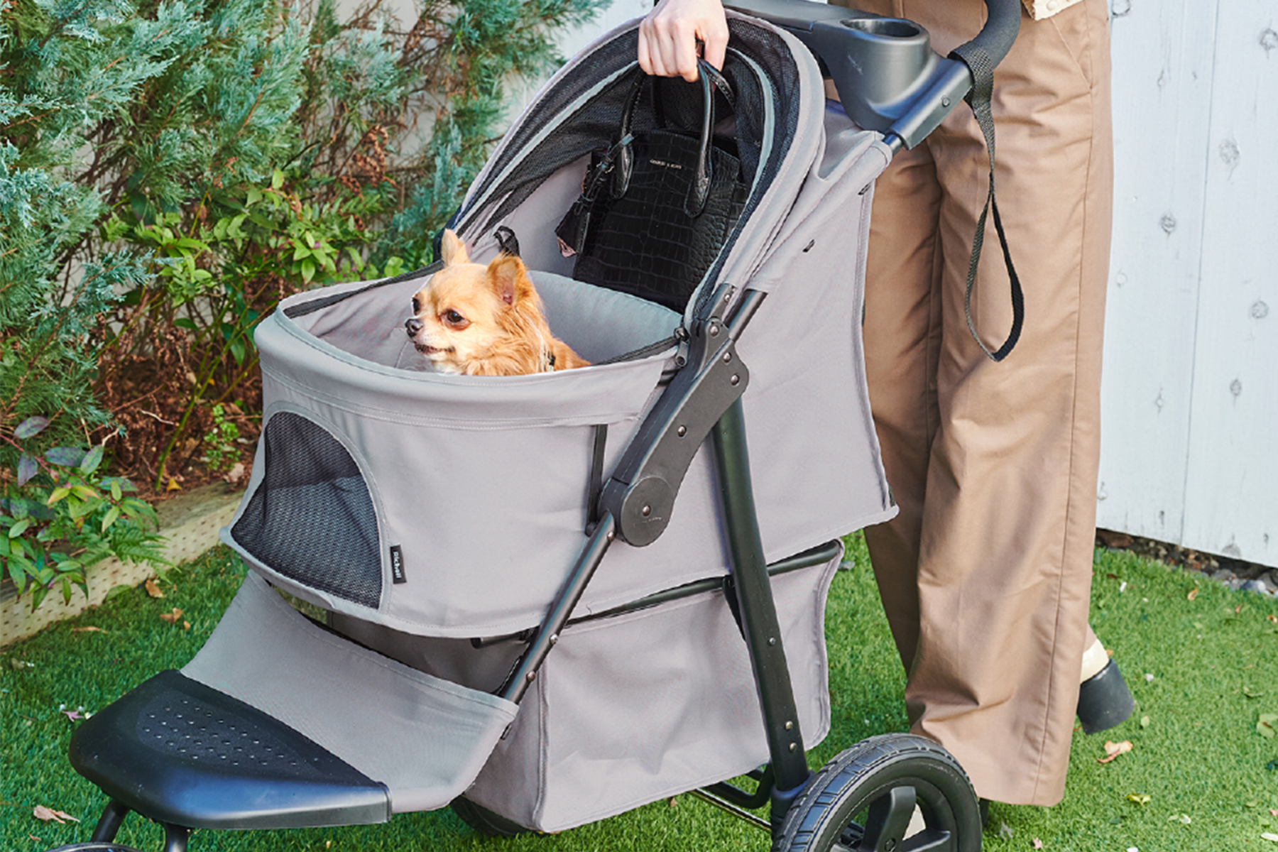 The Richell Buying Guide | Finding the Perfect Pet Products for Your Home